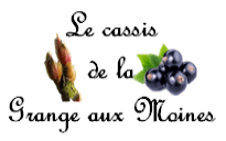 Cassis de la grange aux moines